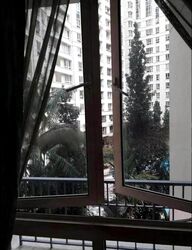 Rivervale Crest (D19), Apartment #485707791